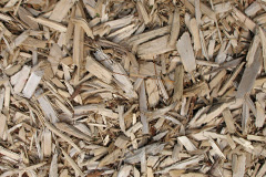 biomass boilers Birkacre